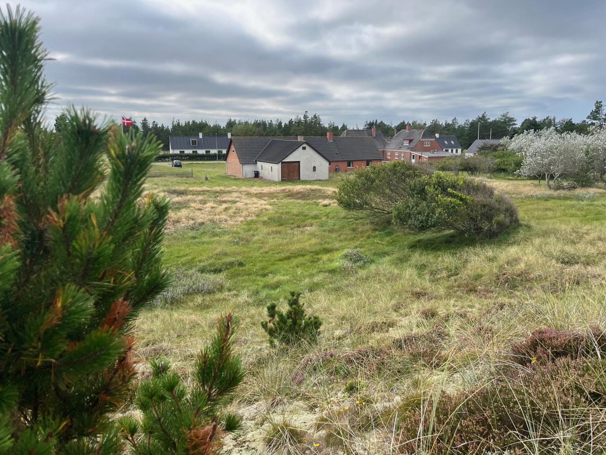 The Beach Farm - Charm, Beach And Stunning Nature Bedsted Thy Екстериор снимка