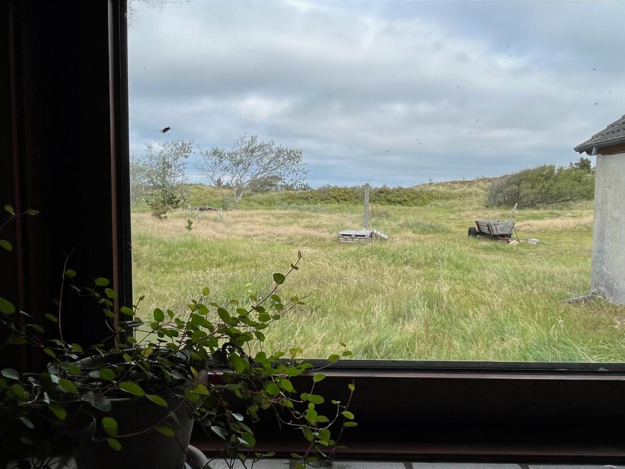 The Beach Farm - Charm, Beach And Stunning Nature Bedsted Thy Екстериор снимка